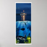 Life Above and Below the Sea posters