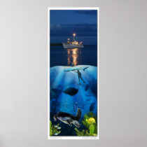 Life Above and Below the Sea Posters