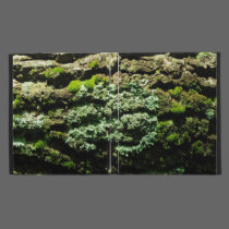 Life After Life iPad Folio caseable cases