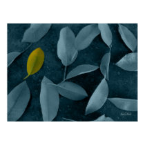 Life After The Fall - You're Special! posters by ilan_gad Life After The Fall - You're Special! posters