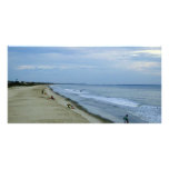 Life Along The Beach Photo Card
