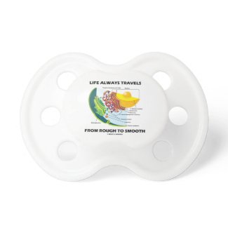 Life Always Travels From Rough To Smooth (Biology) Pacifiers