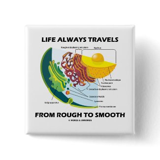Life Always Travels From Rough To Smooth button