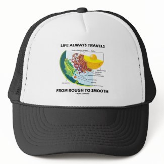 Life Always Travels From Rough To Smooth hat