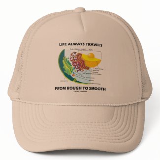 Life Always Travels From Rough To Smooth hat