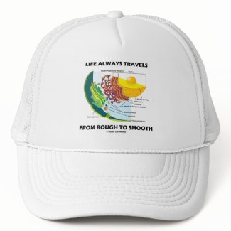 Life Always Travels From Rough To Smooth hat