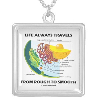 Life Always Travels From Rough To Smooth necklace
