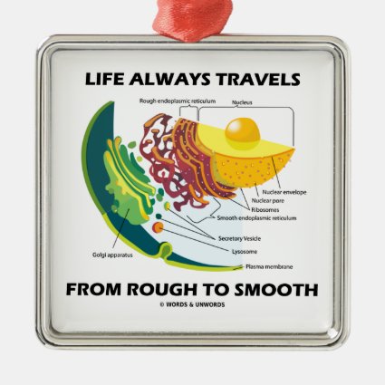 Life Always Travels From Rough To Smooth Christmas Tree Ornament