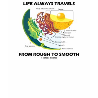 Life Always Travels From Rough To Smooth shirt