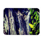 Life and Death Rectangular Magnets