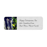 Life and Death Return Address Labels