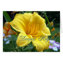 Life and Death - With Deepest Regrets cards by dduhaime55 Life and Death - With Deepest Regrets cards