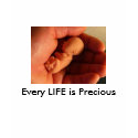 LIFE at 12 weeks, Every LIFE is Precious t-shirts
