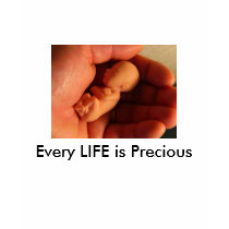 LIFE at 12 weeks, Every LIFE is Precious t-shirts