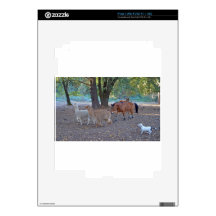 Life at the ranch iPad 2 skins