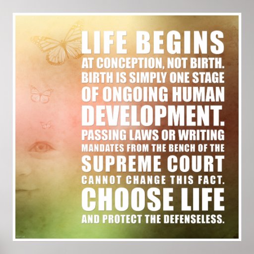 Life Begins At Conception Poster Zazzle