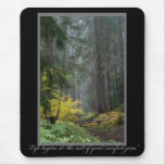 Life Begins Forest Path Mousepad