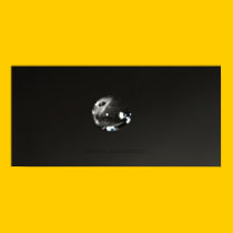 'Life Begins' Print posters