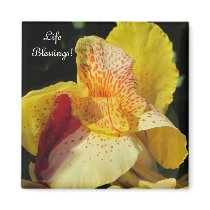 Life Blessings Magnet ! magnets