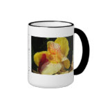 Life Blessings Mug !