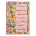 Life cards by Jack_of_Arts Life cards