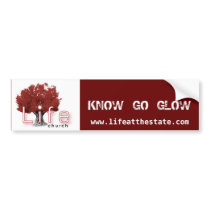 Life Church Bumper Sticker bumper stickers