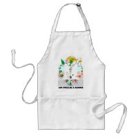 Life Cycle Of A Flower (Angiosperm) Adult Apron
