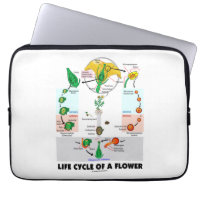 Life Cycle Of A Flower (Angiosperm) Computer Sleeve