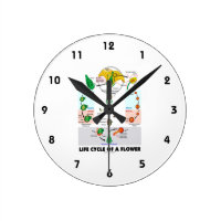 Life Cycle Of A Flower (Angiosperm) Round Clock