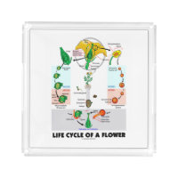 Life Cycle Of A Flower (Angiosperm) Square Serving Trays