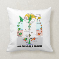 Life Cycle Of A Flower (Angiosperm) Throw Pillow