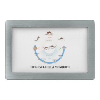 Life Cycle Of A Mosquito (Egg Larva Pupa Imago) Belt Buckle