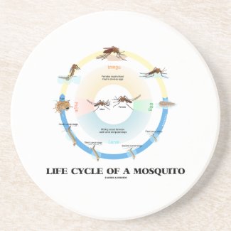 Life Cycle Of A Mosquito (Egg Larva Pupa Imago) Drink Coaster