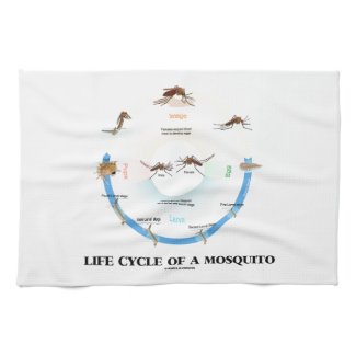 Life Cycle Of A Mosquito (Egg Larva Pupa Imago) Towel