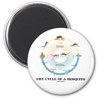Life Cycle Of A Mosquito (Egg Larva Pupa Imago) Fridge Magnets