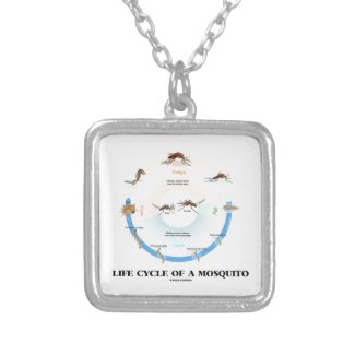 Life Cycle Of A Mosquito (Egg Larva Pupa Imago) Jewelry