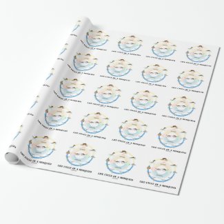 Life Cycle Of A Mosquito (Egg Larva Pupa Imago) Wrapping Paper