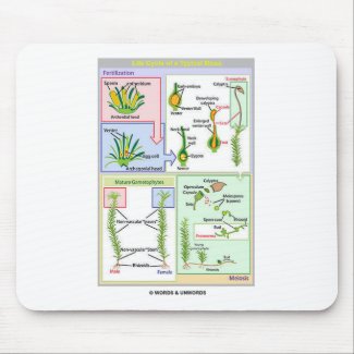 Life Cycle Of A Typical Moss (Bryophyte) mousepad