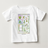 Life Cycle Of A Typical Moss (Bryophyte) T-shirt