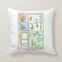 Life Cycle Of A Typical Moss Throw Pillow