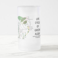 Life Cycle Of Green Algae 16 Oz Frosted Glass Beer Mug