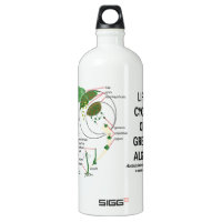 Life Cycle Of Green Algae SIGG Traveler 1.0L Water Bottle