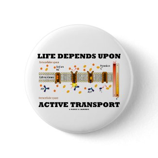 Life Depends Upon Active Transport (Na-K Pump) button