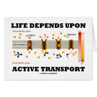 Life Depends Upon Active Transport (Na-K Pump) card