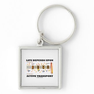 Life Depends Upon Active Transport (Na-K Pump) keychain