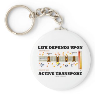 Life Depends Upon Active Transport (Na-K Pump) keychain