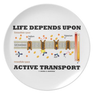Life Depends Upon Active Transport (Na-K Pump) plate