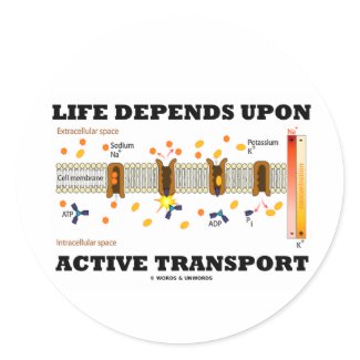 Life Depends Upon Active Transport (Na-K Pump) sticker