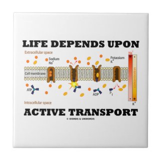 Life Depends Upon Active Transport (Na-K Pump) tile