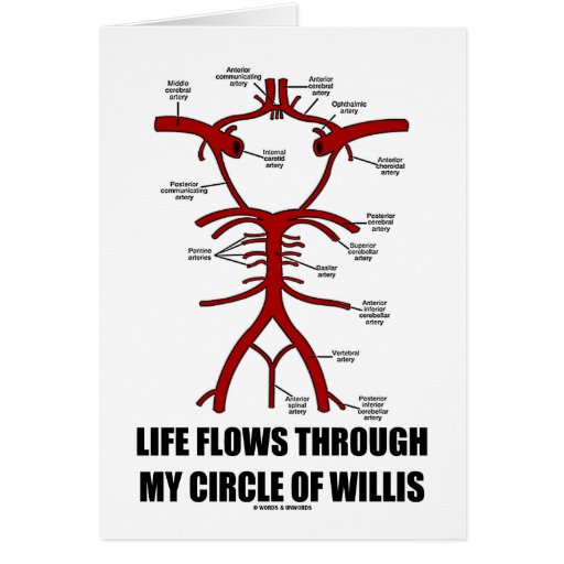 Life Flows Through My Circle Of Willis (Health) Greeting Card